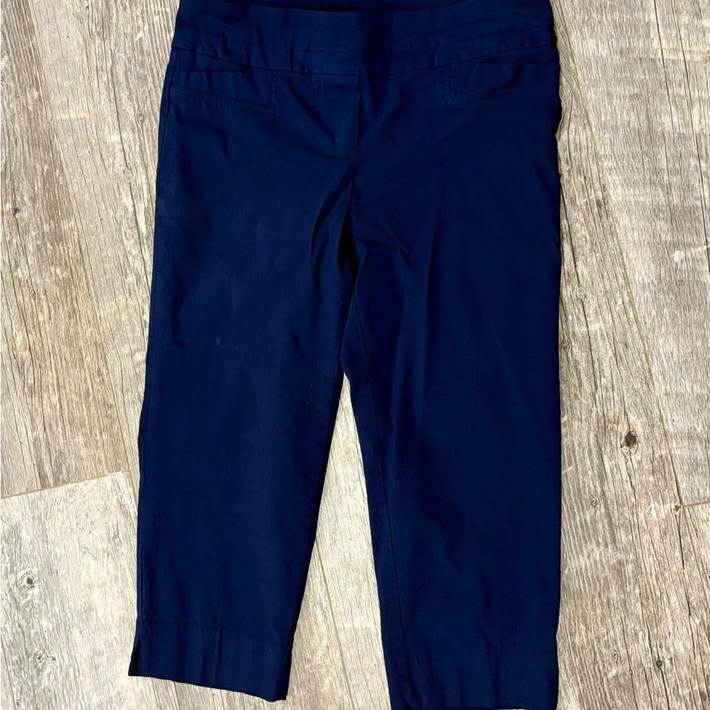 Zac & Rachel Women's Navy Cropped Pants Size 12